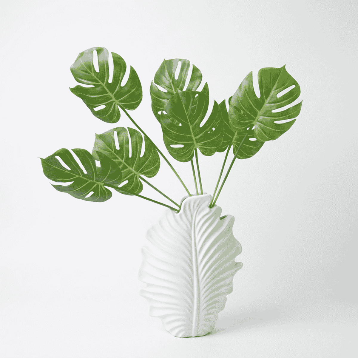 Pak Leaf 3