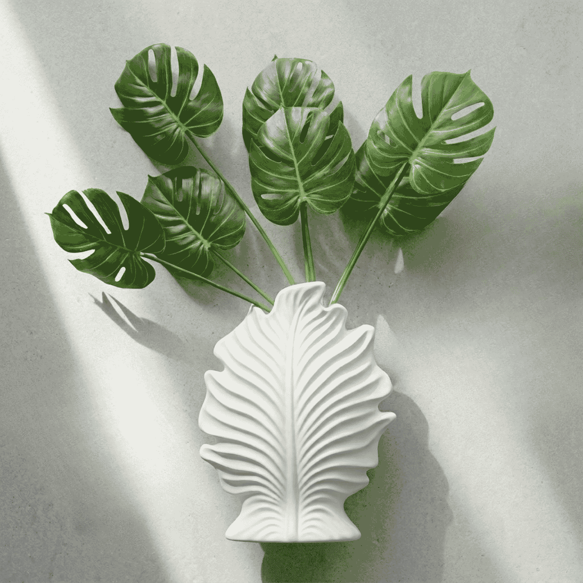 Pak Leaf